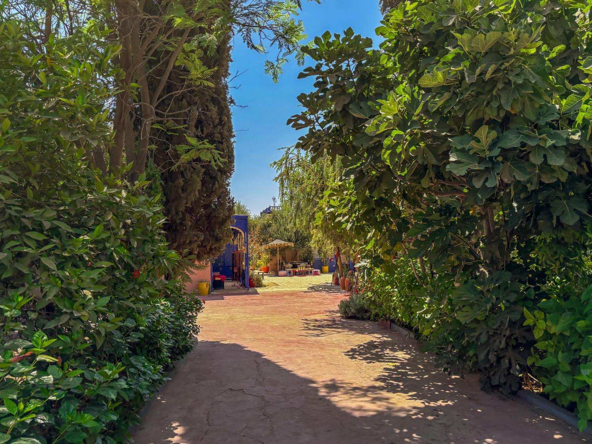 Le Bleu House Bed & Breakfast Sidi Abdallah Ghiat Exterior photo
